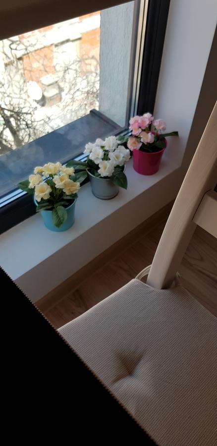 Studio Confort 3 Bucureşti Ngoại thất bức ảnh